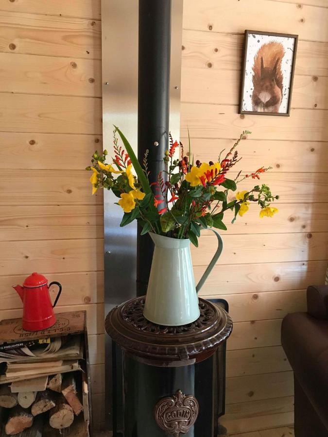 Off Grid Hideaway On The West Coast Of Scotland Villa Blairmore Bagian luar foto
